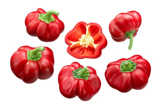 Alexander Pritamin Sweet Pepper or Paprika (Capsicum annuum), ripe pods