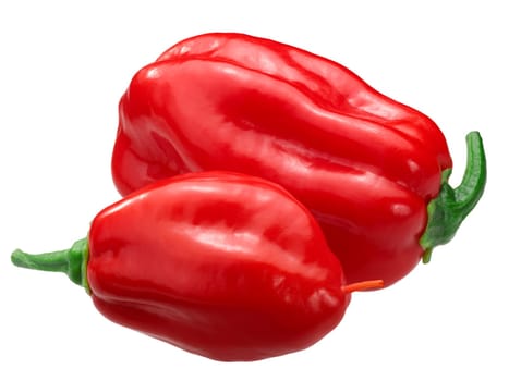 Zavory Habanero chile pepper (Capsicum chinense fruit), whole ripe pods