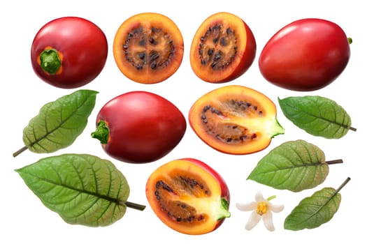 Tamarillo (Solanum betaceum) fruits, leaves, flower as elements