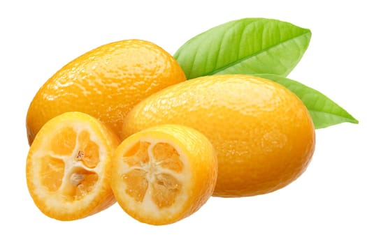 Kumquats (Citrus japonica fruits) group of three with leaves