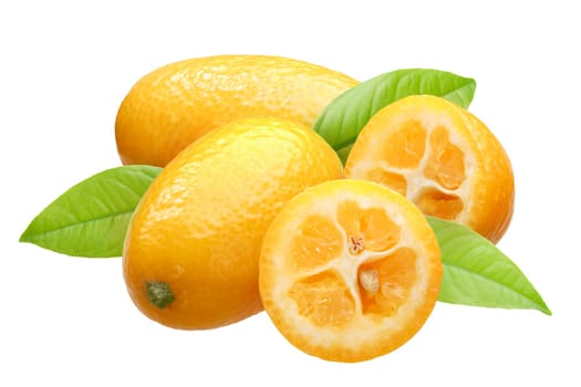 Kumquats (Citrus japonica fruits) group of four with leaves