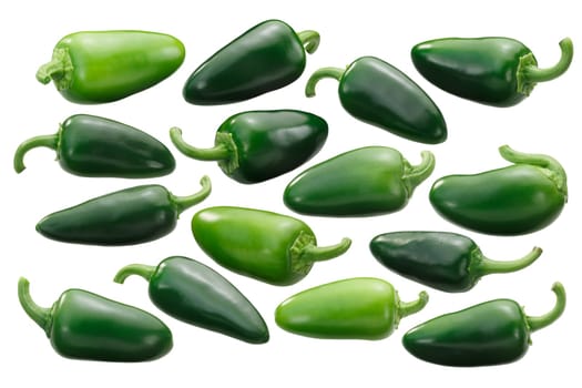 Jalapeno chile peppers (Capsicum annuum fruit), whole single pods