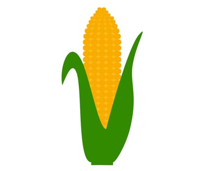 Maiskolben auf weiß