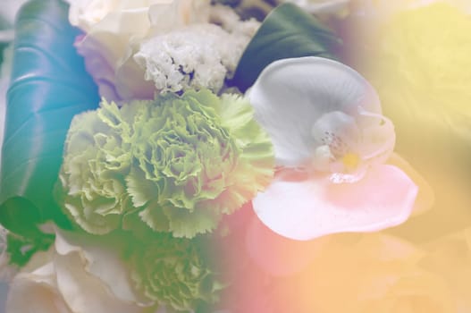 Abstract background of colorful flower . Nature background