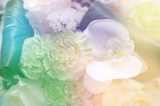 Abstract background of colorful flower . Nature background
