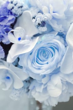 Abstract background of colorful flower . Nature background