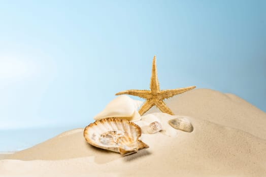Close up view of shells on the sandy beach with blue sky background