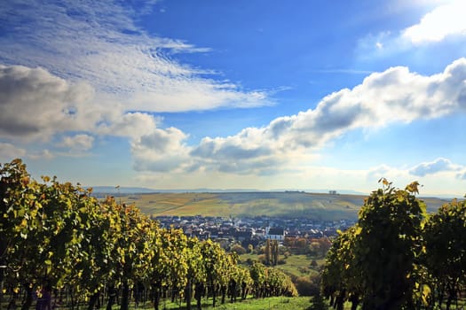 volkach is a well-known wine-growing region in Germany, Bavaria, Franconia