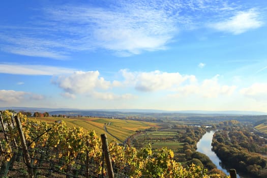 volkach is a well-known wine-growing region in Germany, Bavaria, Franconia
