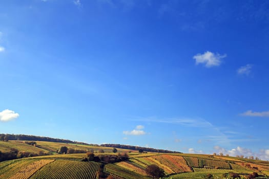 volkach is a well-known wine-growing region in Germany, Bavaria, Franconia