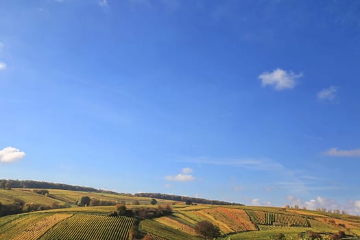 volkach is a well-known wine-growing region in Germany, Bavaria, Franconia