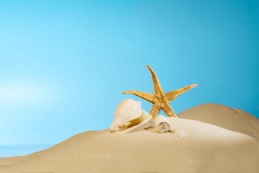 Close up view of shells on the sandy beach with blue sky background