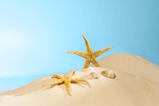 Close up view of shells on the sandy beach with blue sky background