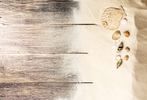 Top view of shells on the sand with wooden floor background