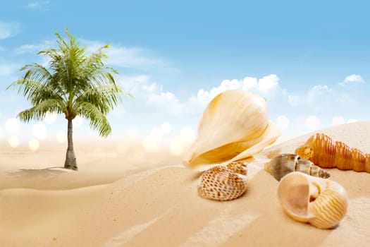 View of sandy beach with shells and palm tree over blue sky background