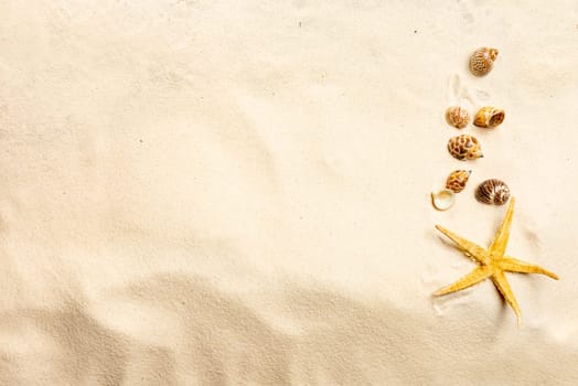 Top view of shells on sandy beach. Summer background