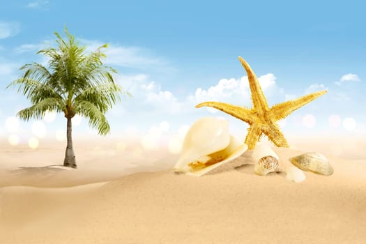 View of sandy beach with shells and palm tree over blue sky background