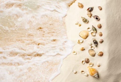 Top view of shells on the sandy beach with wave. Summer background