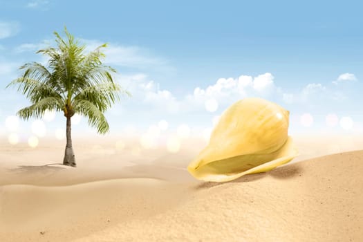 View of sandy beach with shells and palm tree over blue sky background