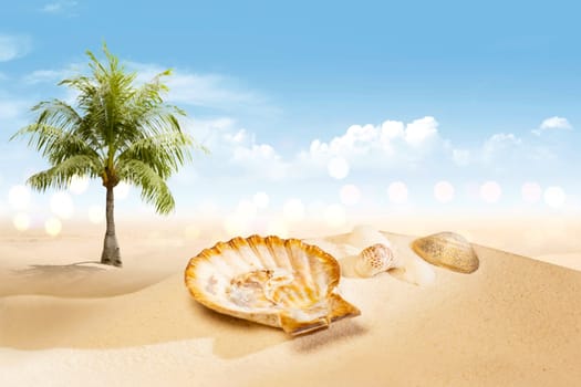 View of sandy beach with shells and palm tree over blue sky background