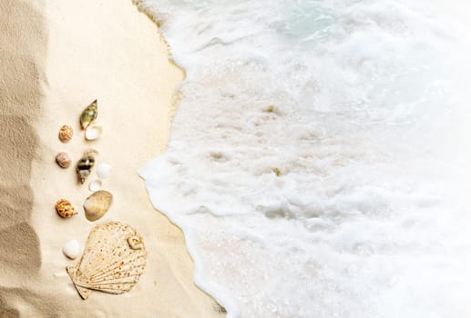 Top view of shells on the sandy beach with wave. Summer background