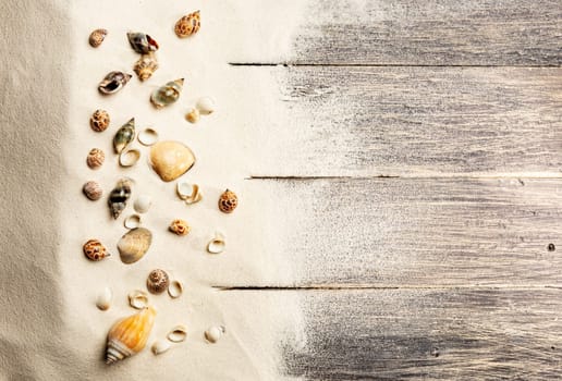 Top view of shells on the sand with wooden floor background