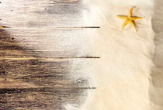 Top view of shells on the sand with wooden floor background