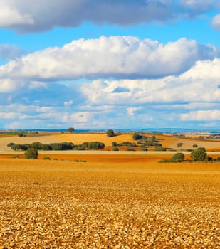 Landscape with fields and hills at sunset. Spain