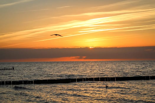 Breakwater built of wooden logs by the Baltic Sea.