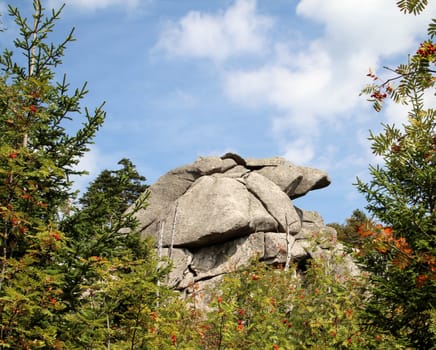 rock formation in the Harz mountains