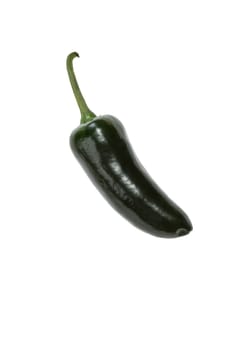 Single green jalapeno pepper isolated on white background