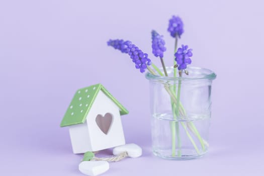 Purple grape hyacinths with copy space, template, background