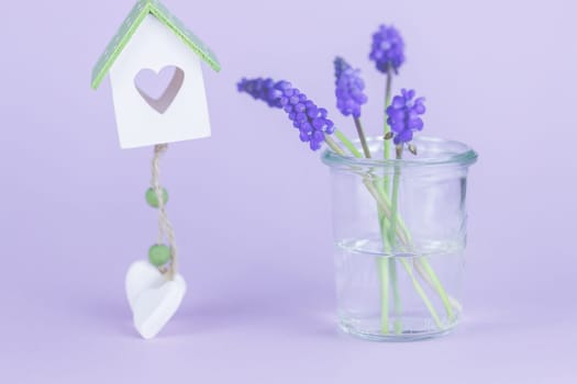 Purple grape hyacinths with copy space, template, background