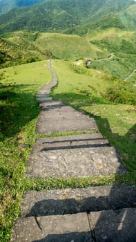 The Miscanthus on the Cao Ling Ancient Trail in the northeast corner of Taiwan
