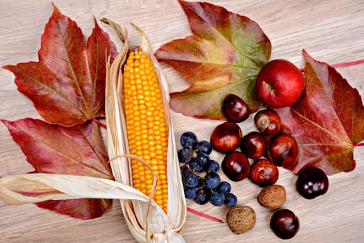 autumn still life- grapes, leaves, apple, corncob,chestnut,and walnut  on wooden ground