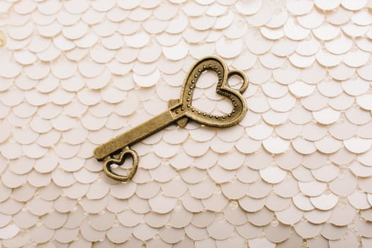 Heart shaped retro metal key on bright background