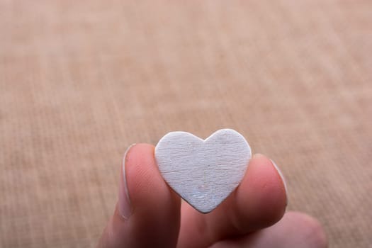 Heart shaped object in hand on canvas