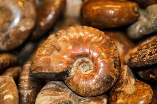 gemstones, shells and semi-precious stones with beautiful colors