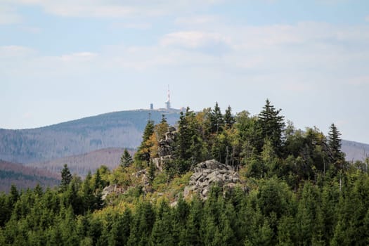 rock formation and forest in the Harz mountains