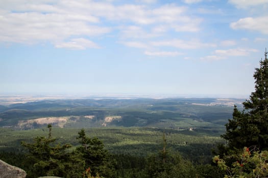 rock formation and forest in the Harz mountains