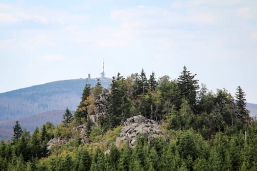 rock formation and forest in the Harz mountains