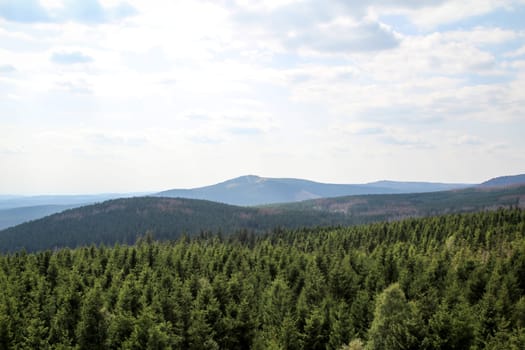 rock formation and forest in the Harz mountains