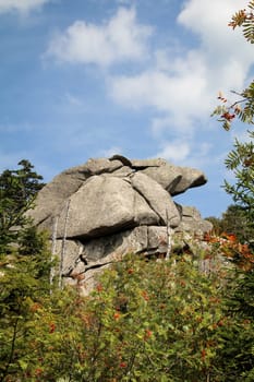 rock formation and forest in the Harz mountains