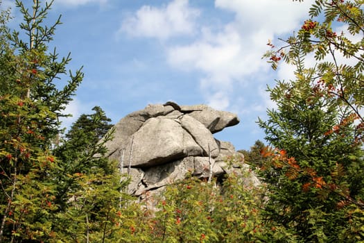 rock formation and forest in the Harz mountains