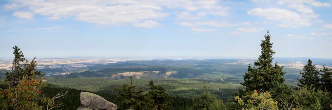rock formation and forest in the Harz mountains
