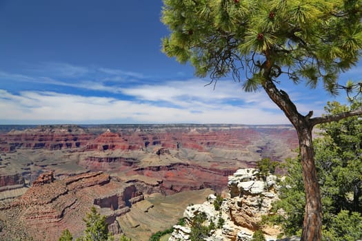 Grand Canyon in Arizona