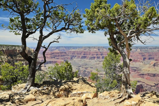 Grand Canyon in Arizona