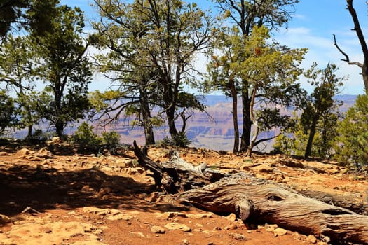 Grand Canyon in Arizona