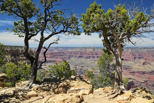 Grand Canyon in Arizona