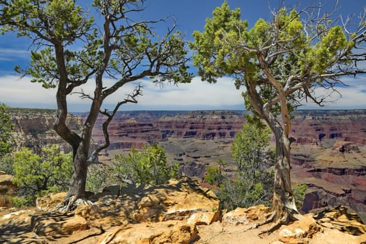 Grand Canyon in Arizona